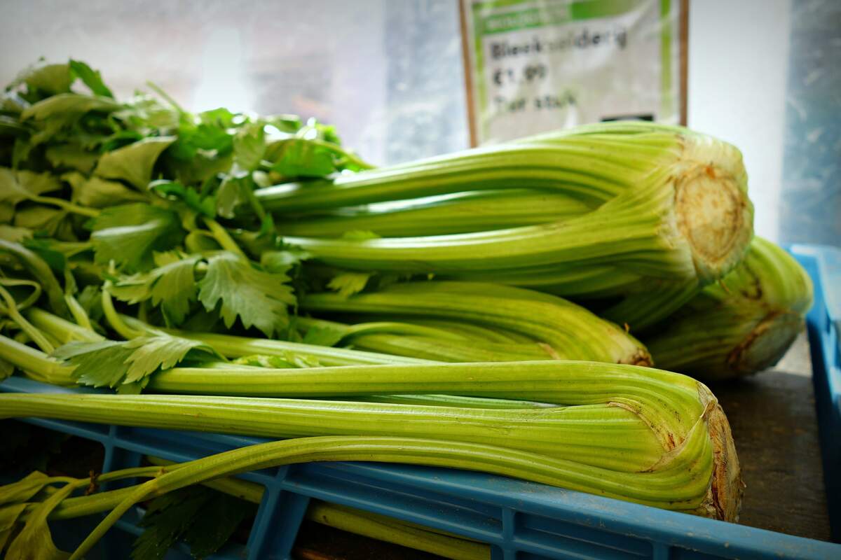 Image for National Celery Month