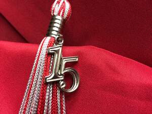 Image for International Day for Achievers