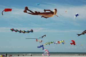 Image for International Kite Day