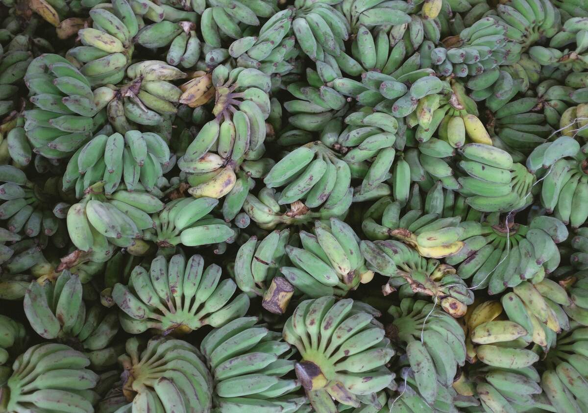 Image for Greens and Plantains Month