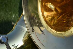 Image for International Tuba Day